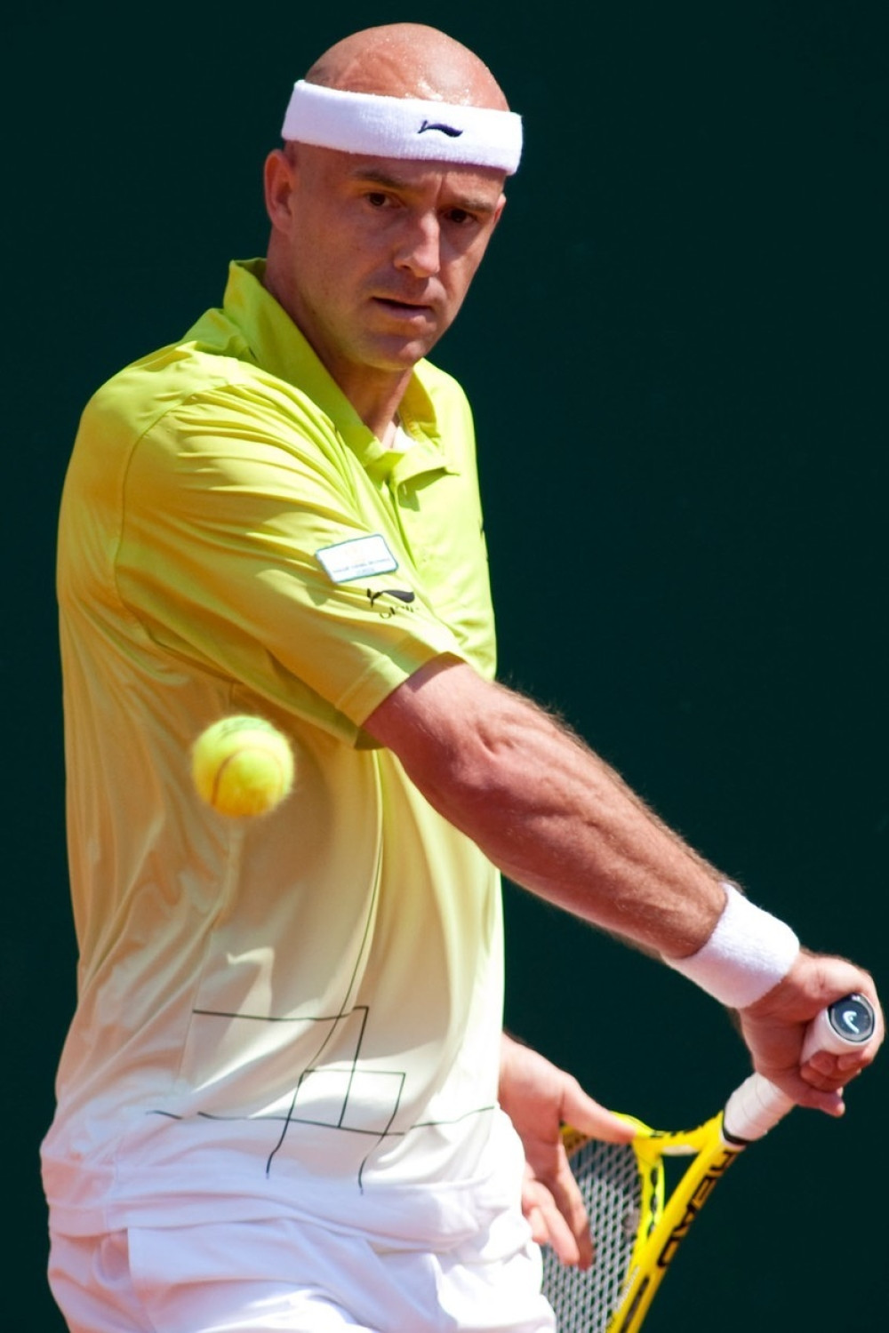 Ljubičić je novi Federerov trener