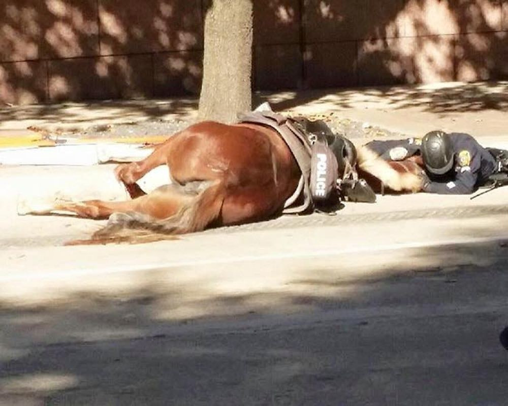 Oproštaj policajca od njegove kobile