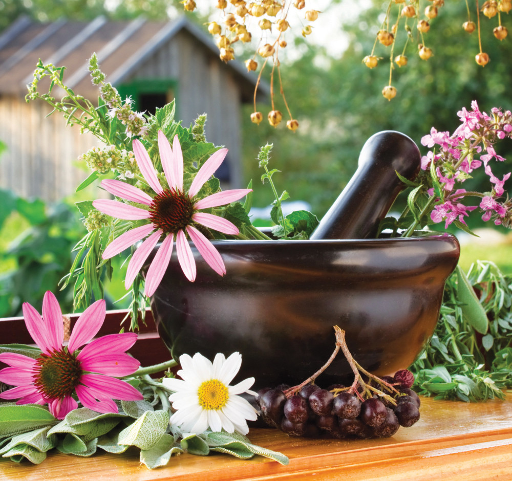 Pet najboljih biljaka za pročišćavanje vazduha