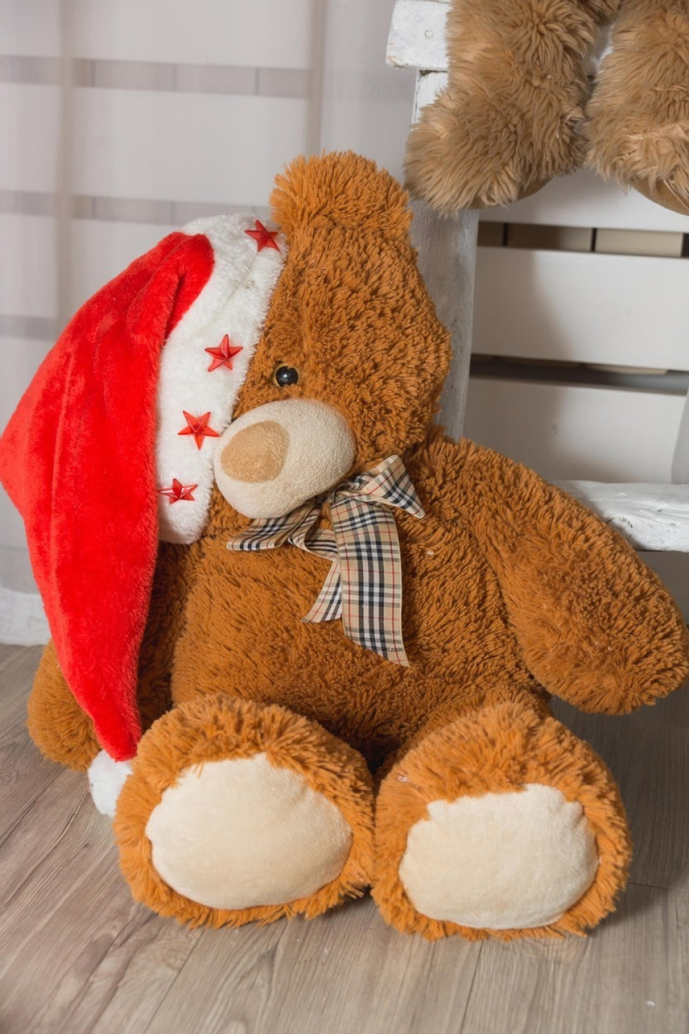 Opsada Osijeka zbog plišanog mede!