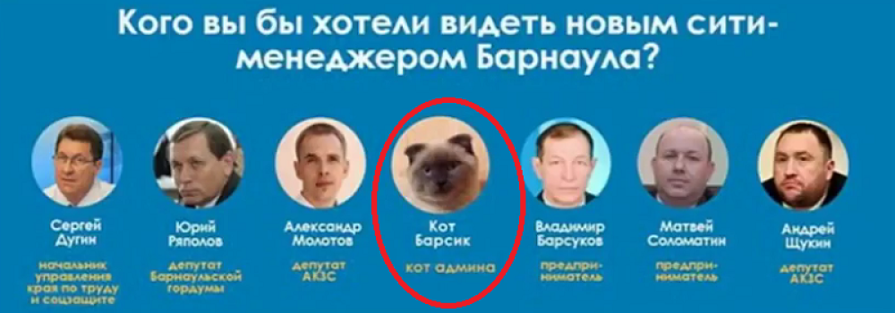 Hoće mačka za gradonačelnika!