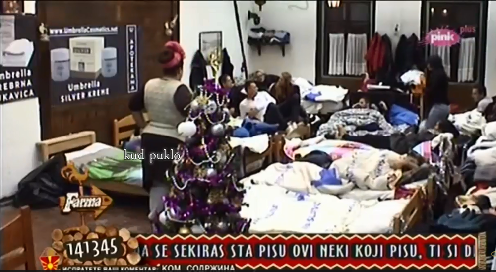 Dve "Pinkove zvezde" ušle na farmu! (VIDEO)