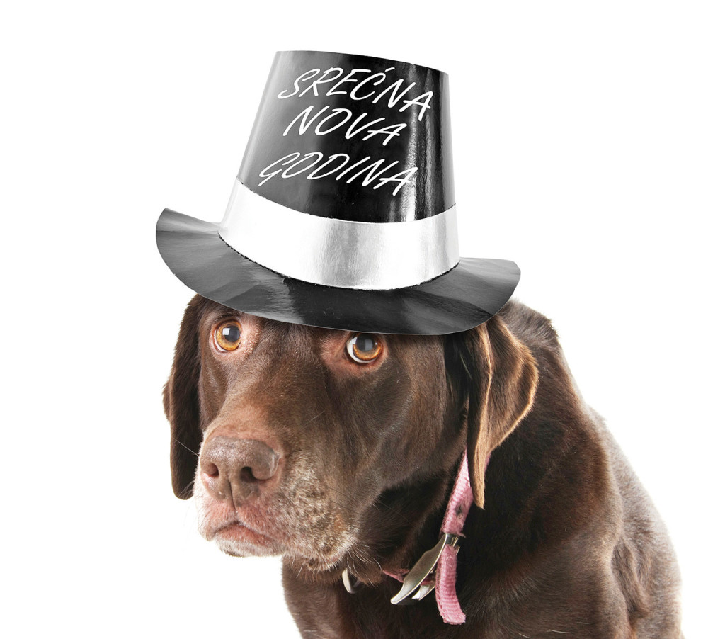 Petarde su noćna mora za životinje