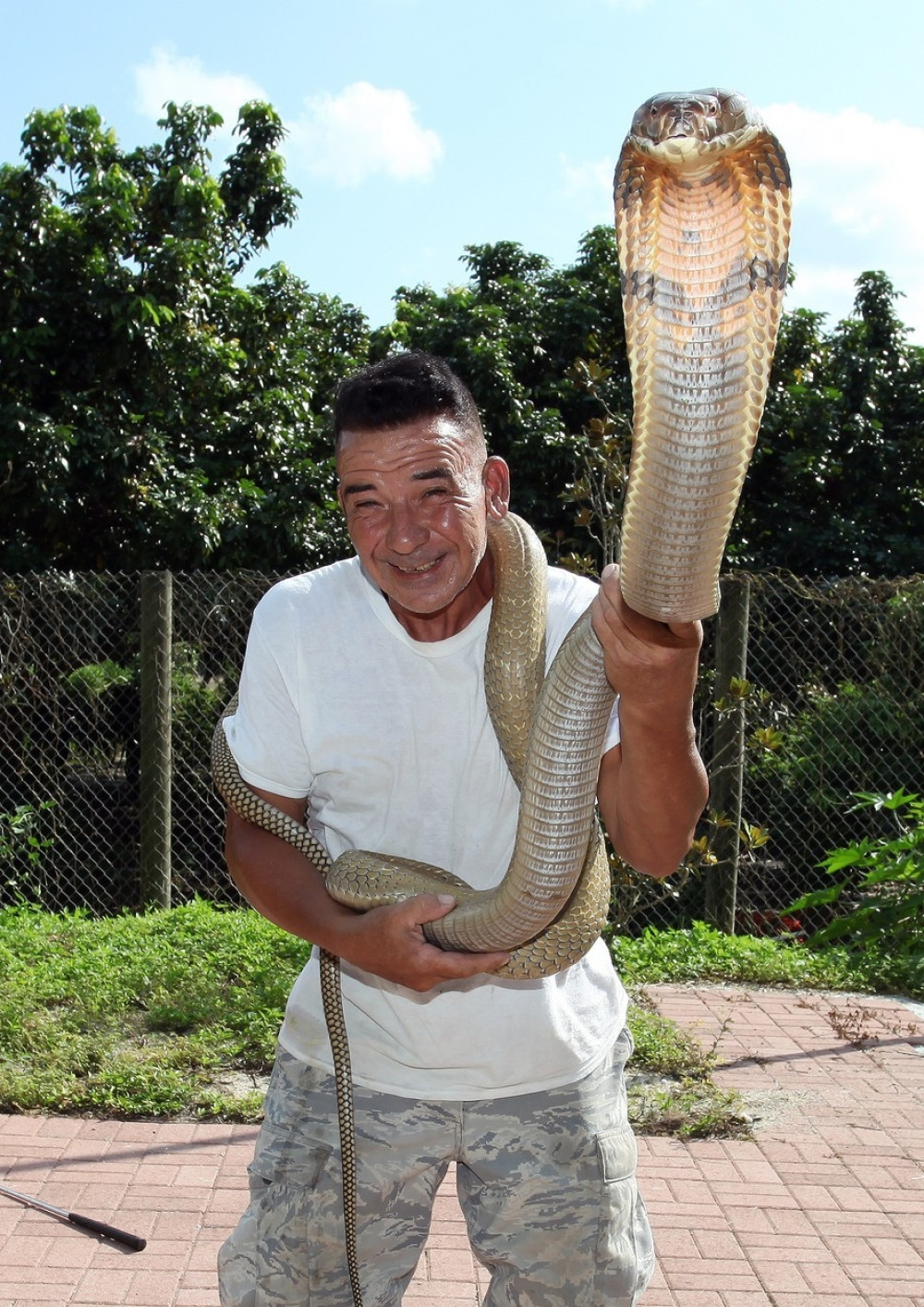 Živi sa 60 otrovnica u kući! (FOTO)
