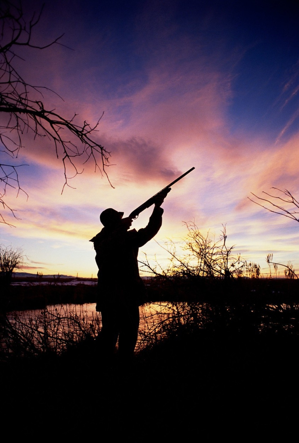 Muž i žena brali kukuruz, a onda je njihova krv NATOPILA NJIVU