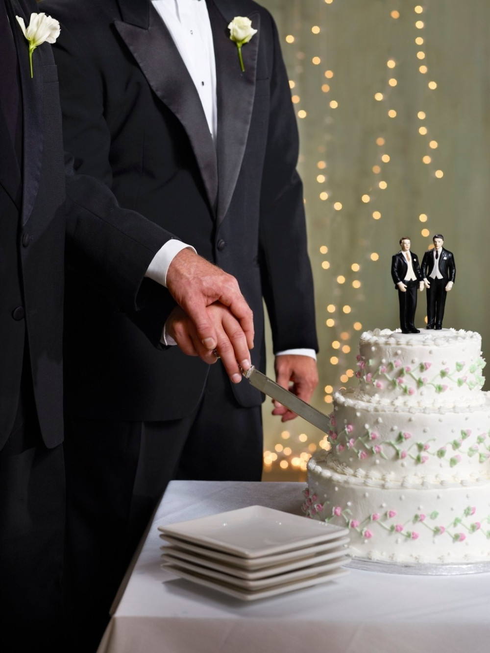 Sklopljen prvi gej brak u Sloveniji