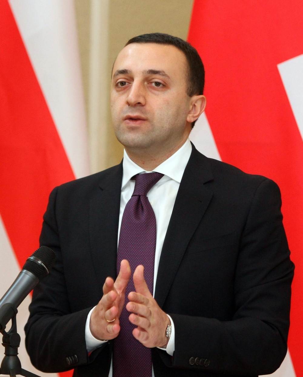 Gruzijski premijer podneo ostavku