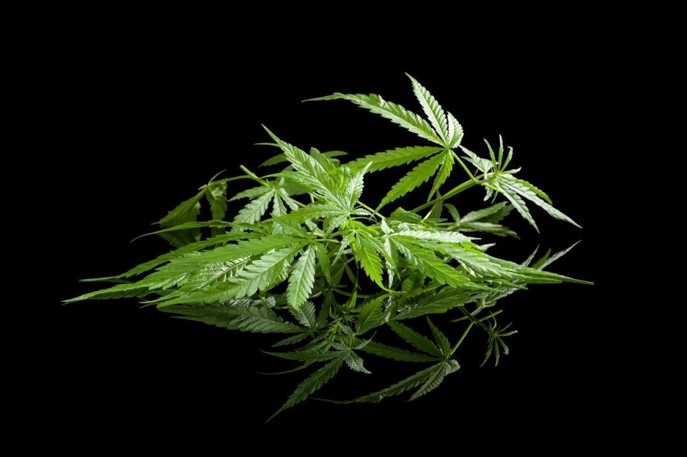 Na deliću meteorita pronađena supstanca THC