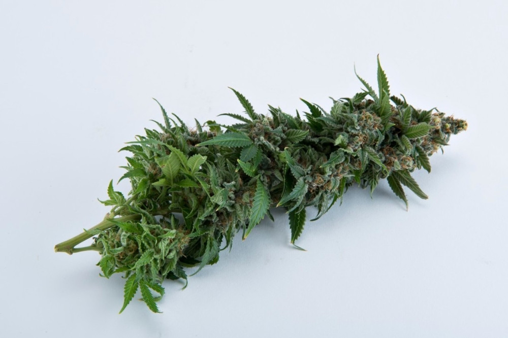 Hrvatski ribar iz mora izvukao 60 kilograma marihuane