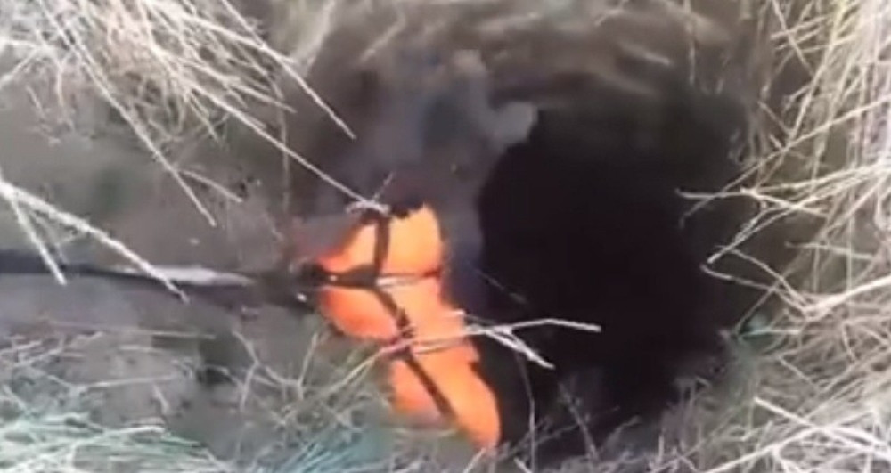 Pas bio u rupi mesec dana, pa spasen! (VIDEO)