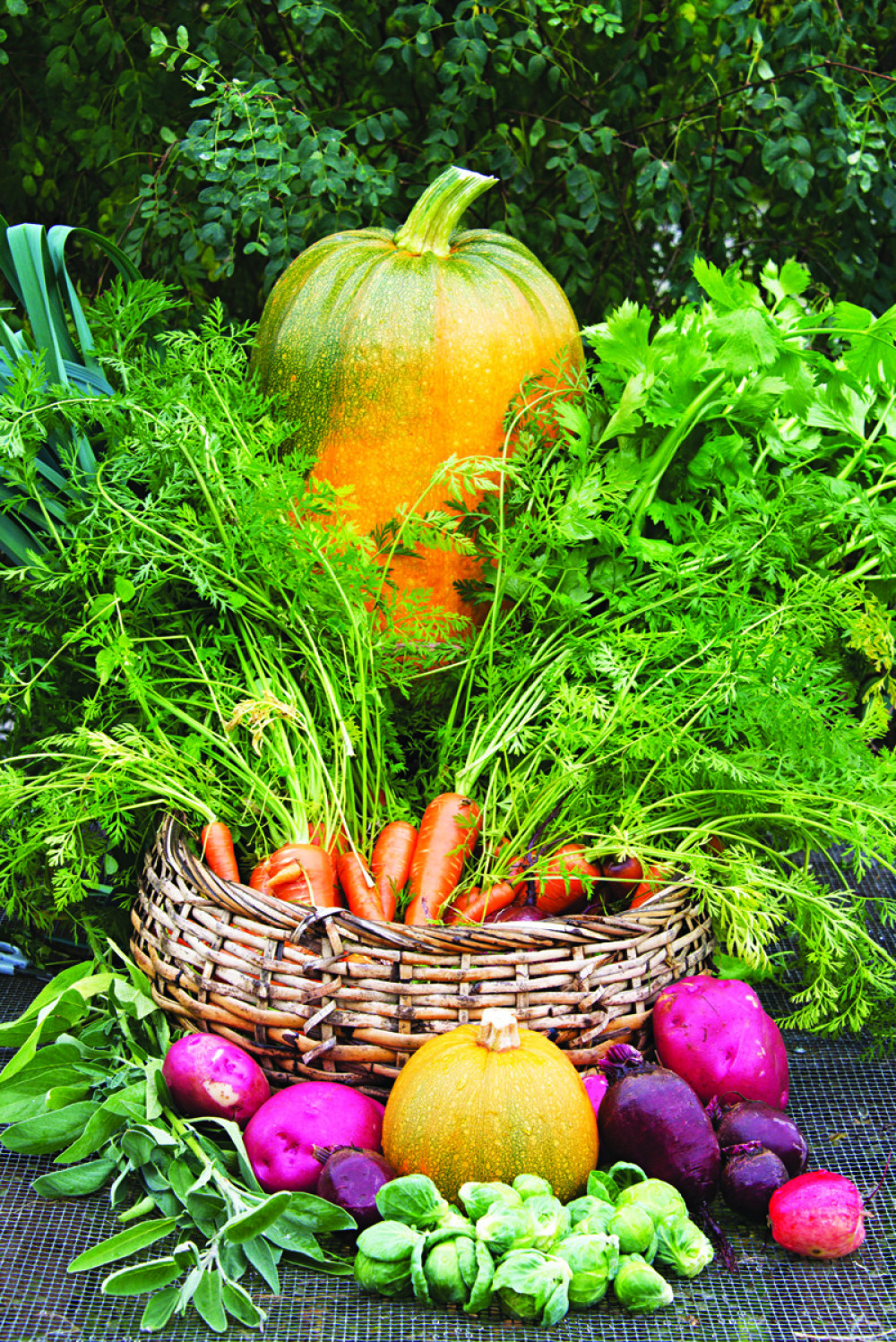 Ove biljke nikako nemojte saditi zajedno