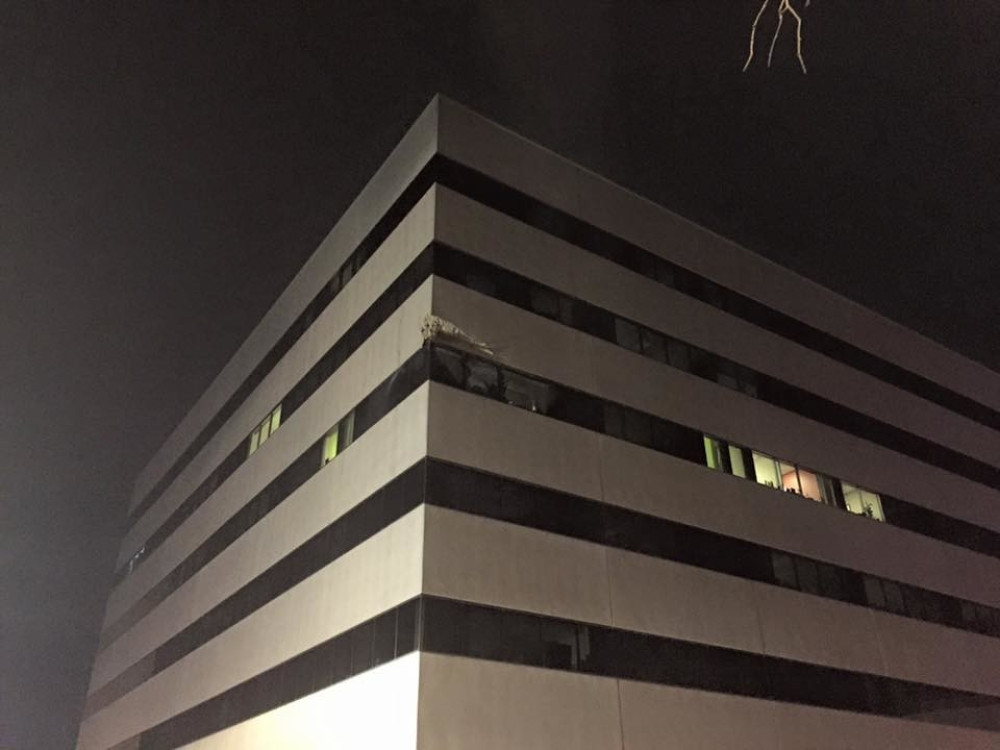 Zemljotres na Aljasci