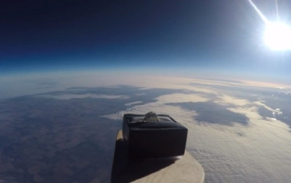 Voditeljka javno zaprosila glumca