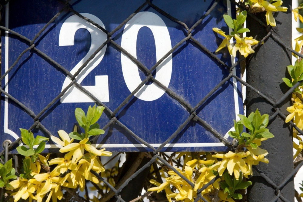 Mihajlović: Dosta sa adresama BB, svako da dobije ulicu i broj