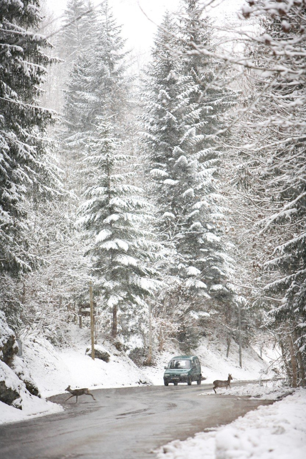 Prešao na suprotnu stranu kolima i izazvao saobraćajku