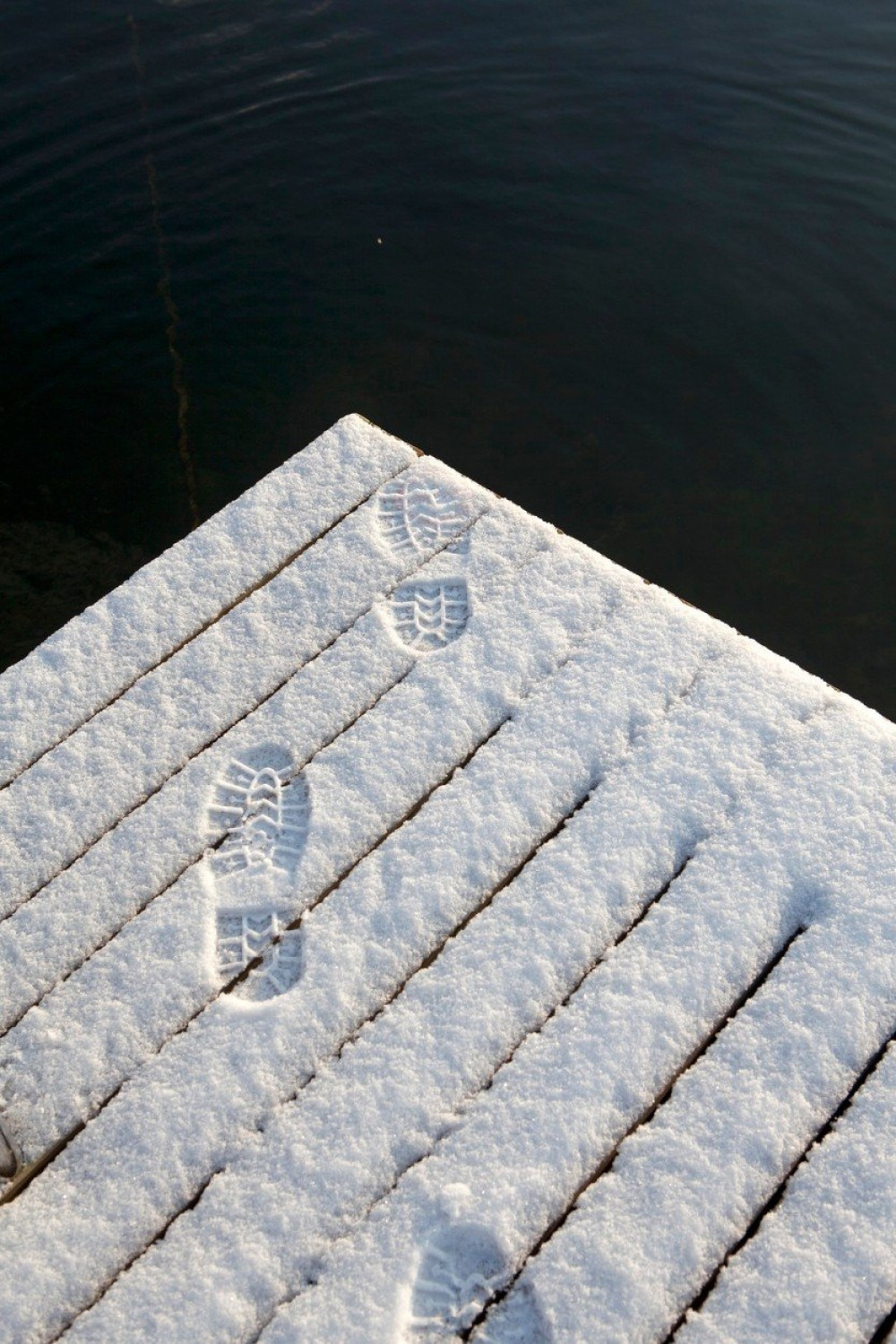 Skokom sa "Lepe Brene" otišla u smrt