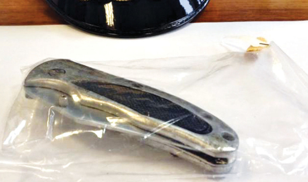 Sevnuli noževi u Gavrila Principa