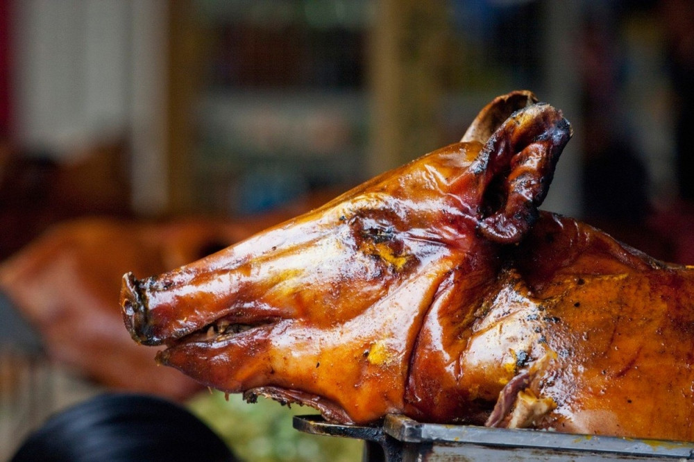 Pekli prase pa umalo izginuli