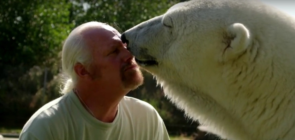 Ovako izgleda kada polarna mečka zavoli čoveka (VIDEO)