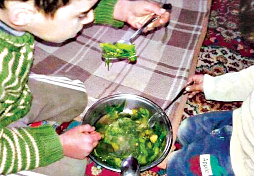 Dečica jedu mačke i travu!