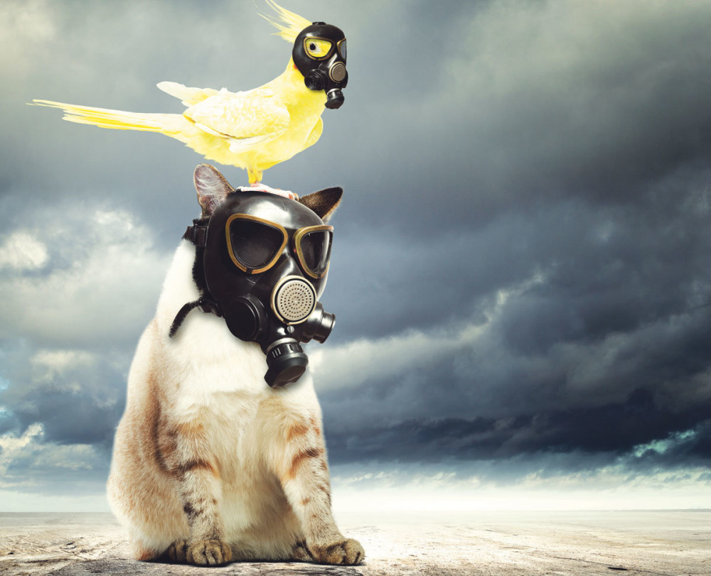 Procureo nuklearni reaktor u Norveškoj