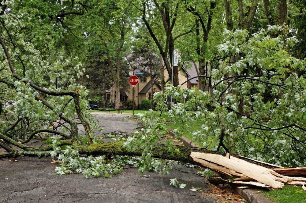 Jak vetar lomio stabla