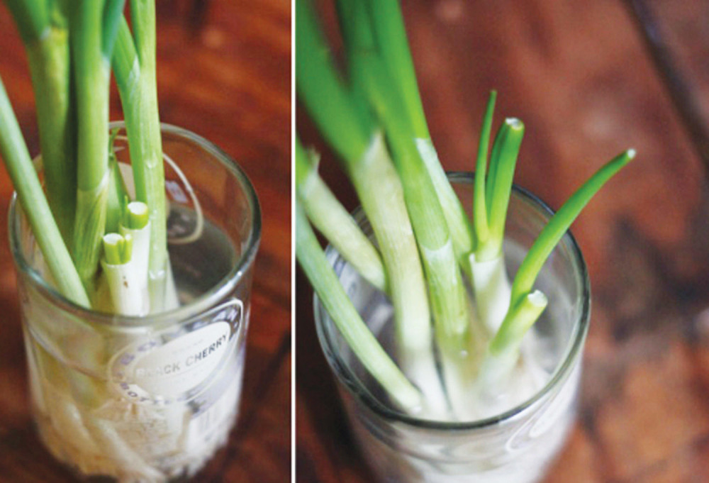 Musaka od praziluka, zdrava i osvežavajuća