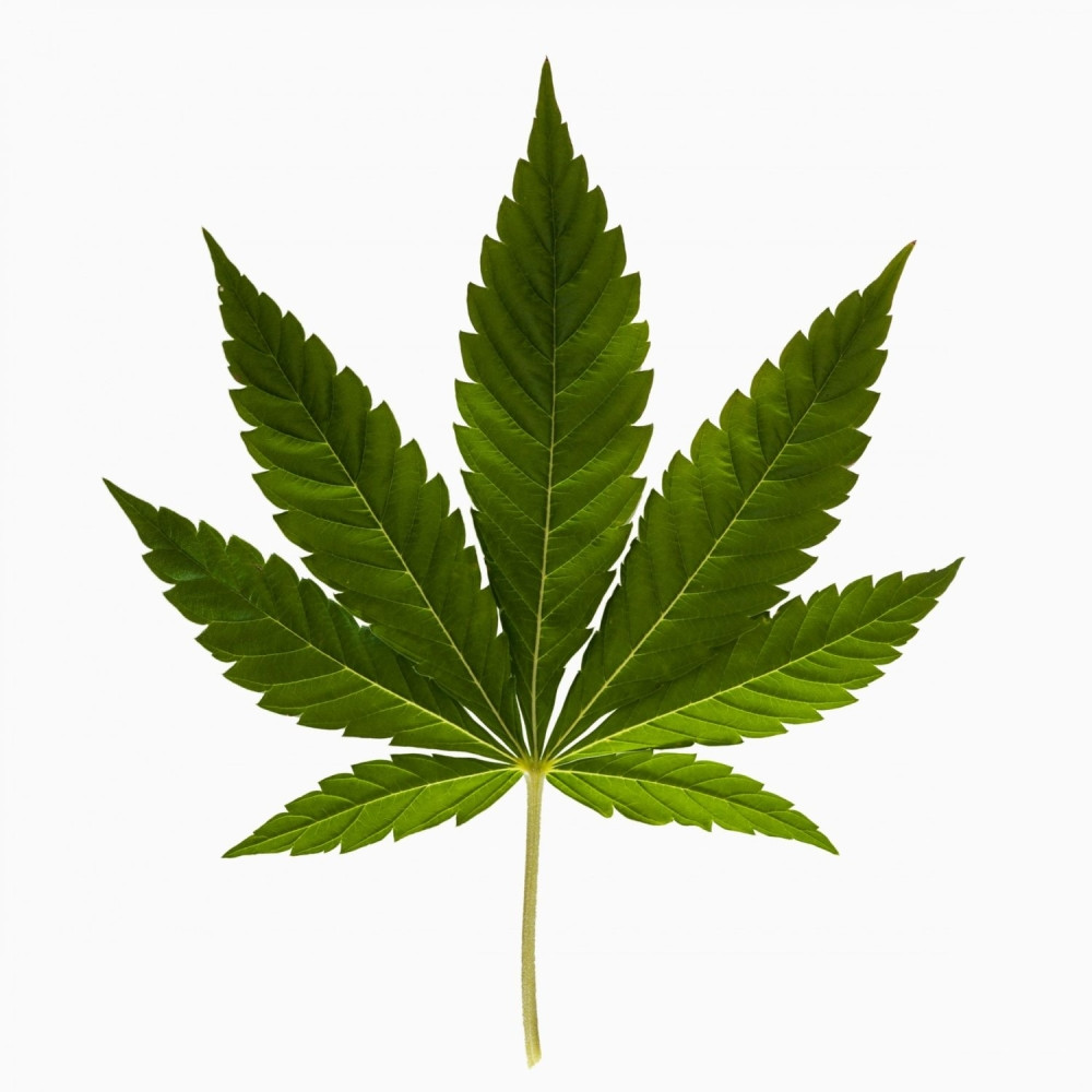 Švercovao marihuanu u vozu Bar-Beograd