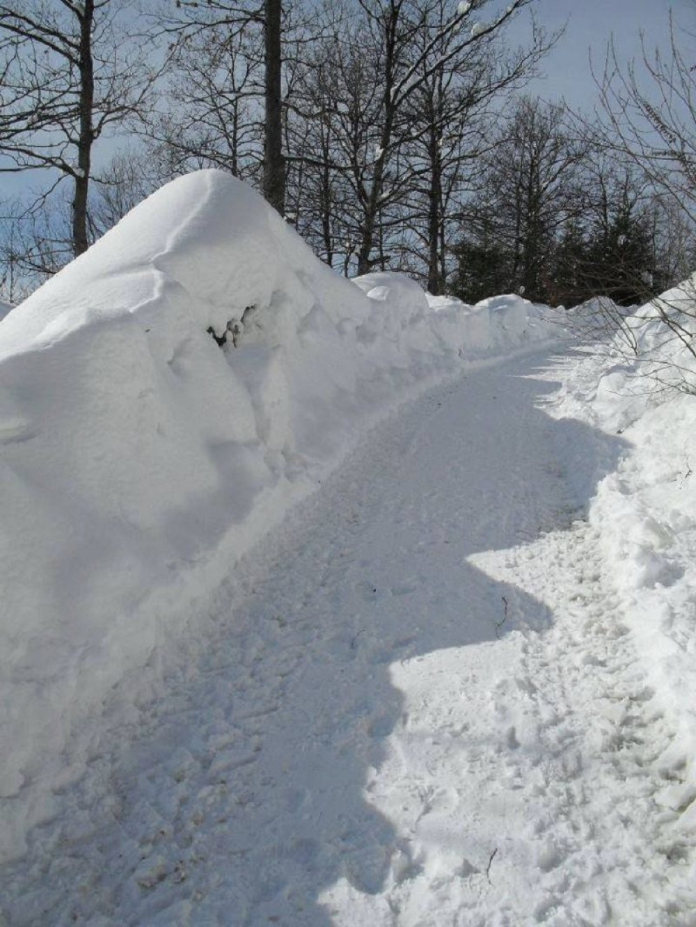 Marić: Evakuisano 146 osoba