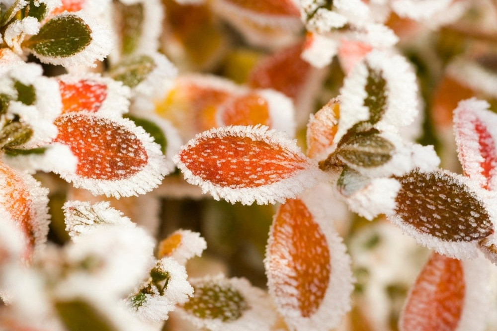 Na Žabljaku minus 20