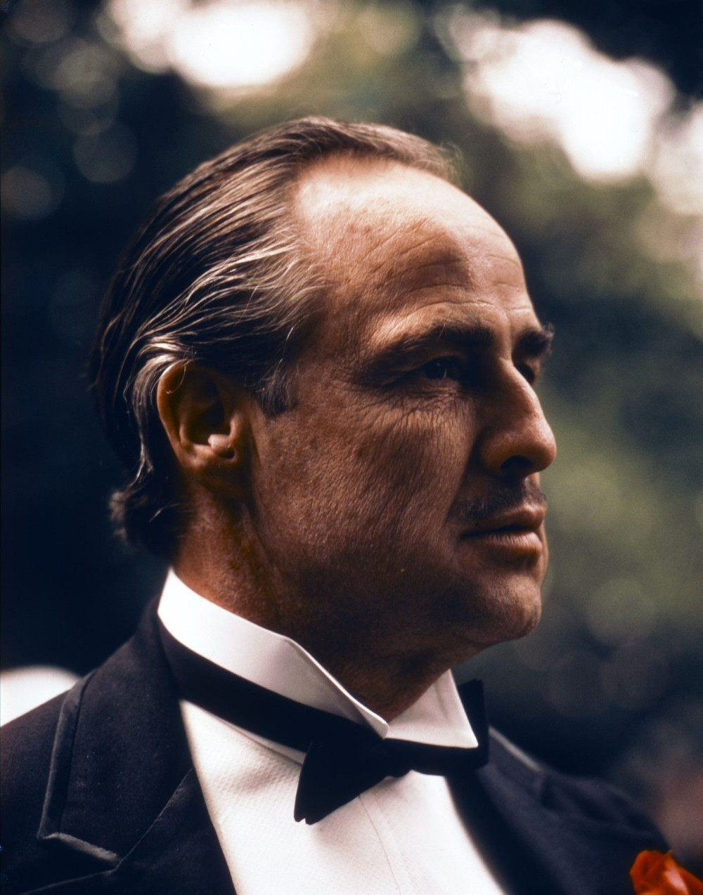 Raspuštena vlast u Korleoneu zbog veze sa mafijom