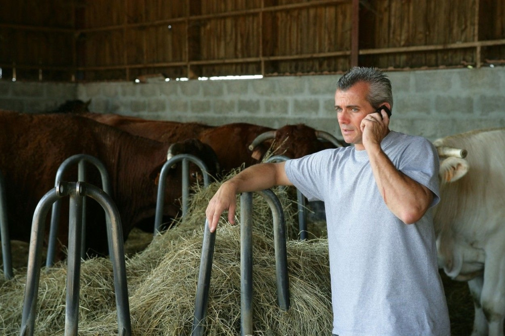 Što bi seljak iz Brđana zvao Avganistan?
