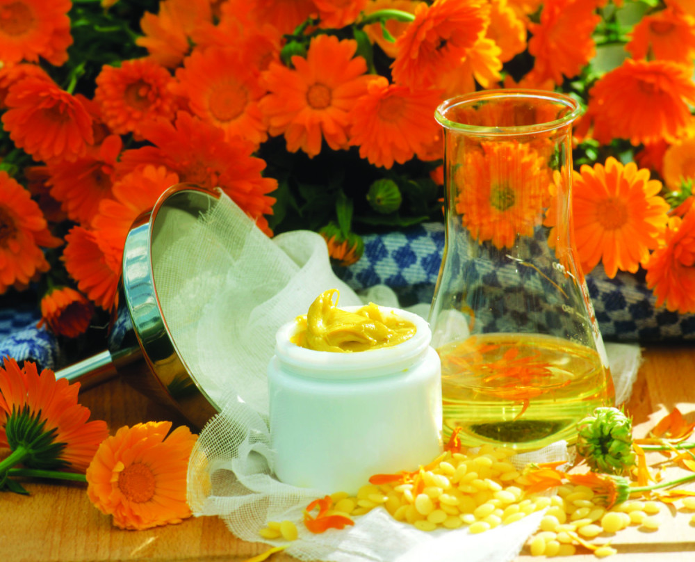 Čaj, mast i tinktura od nevena leče mnoge probleme!