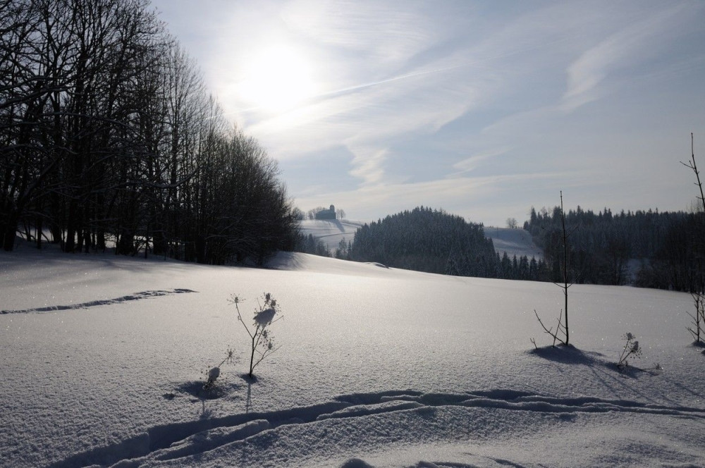 Ujutro mraz, tokom dana pretežno sunčano