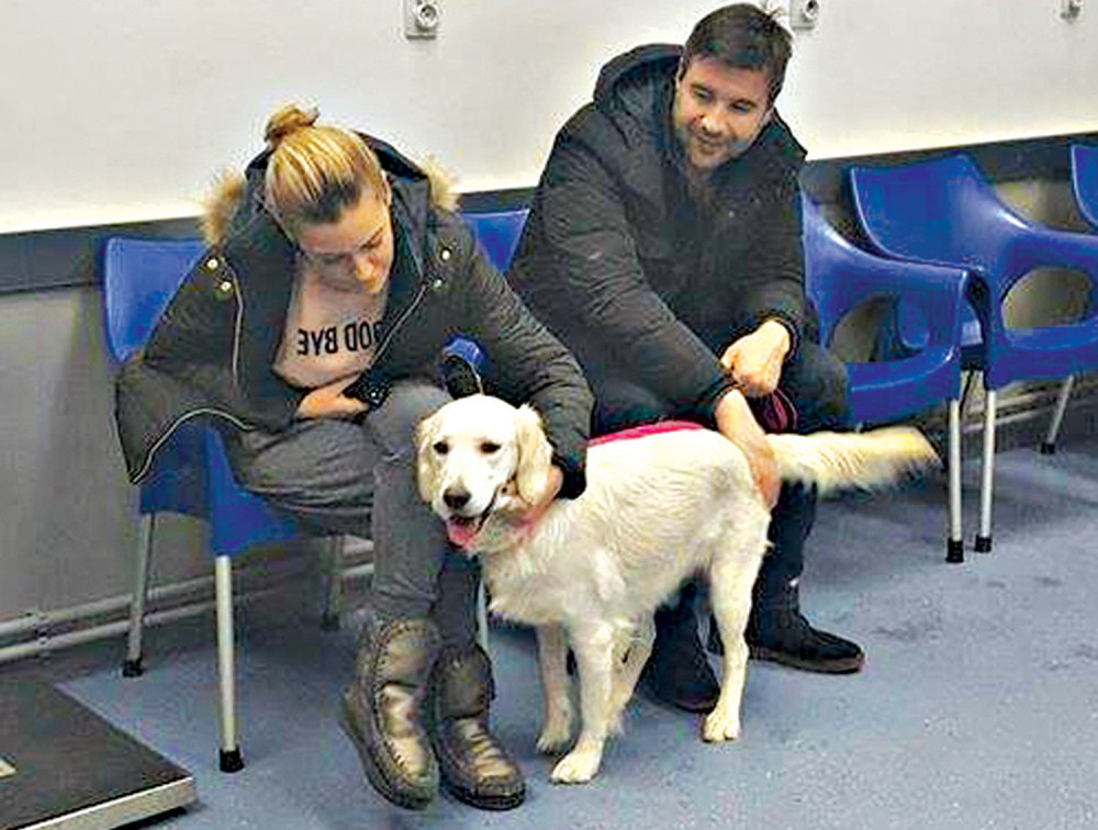 Nata i Ljuba zbrinuli psa!