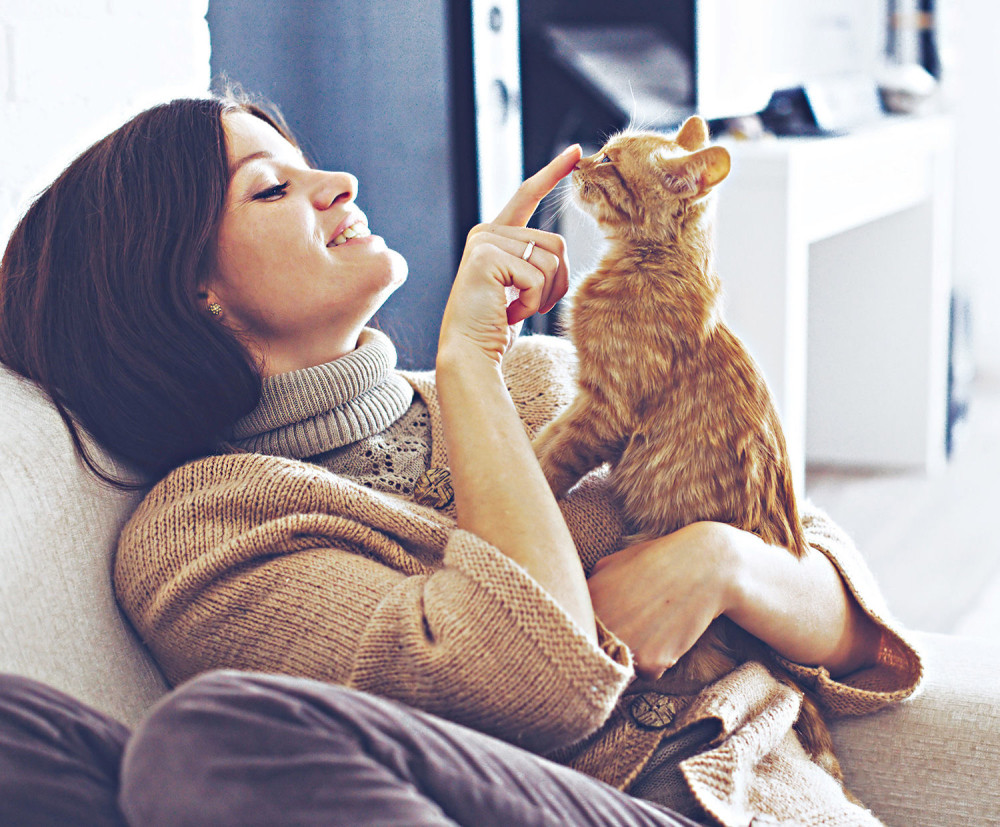 Hteli ste macu, a dobili tigra!