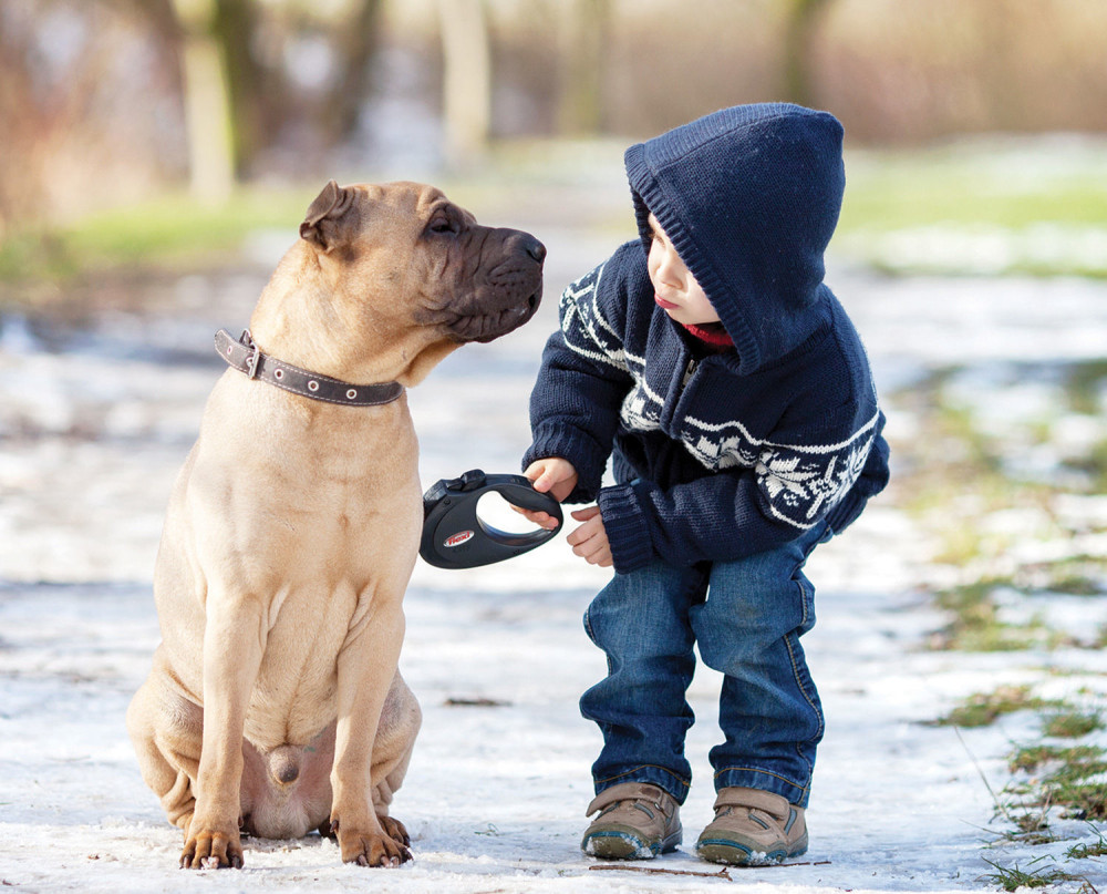 Zbrinite vaše ljubimce tokom ovih hladnih dana i snega