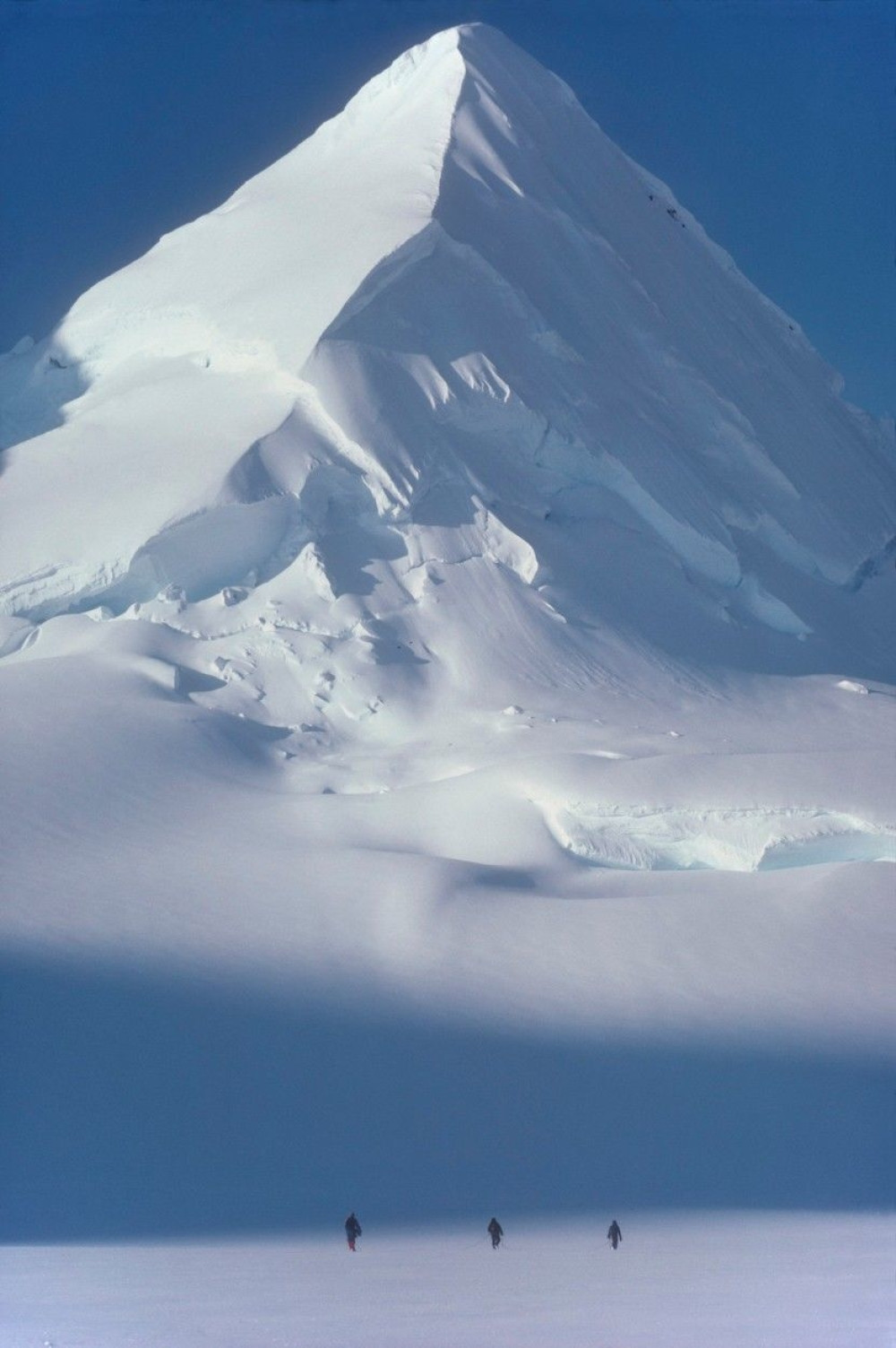 Spasioci stigli do zavejanih drvoseča
