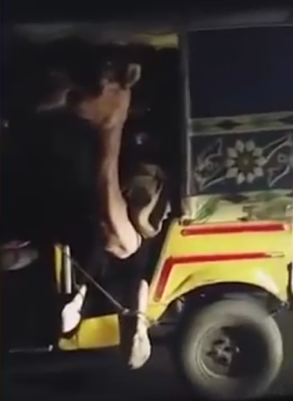 Vozač rikše povezao i kamilu! (VIDEO)