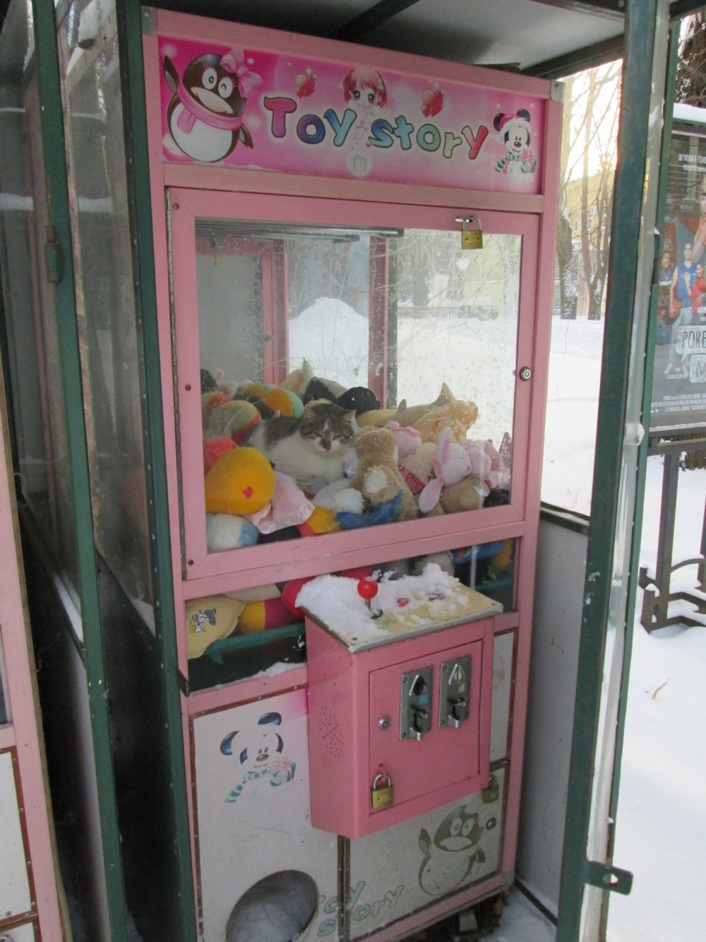 Ne hvatajte ovu "igračku"! (FOTO)