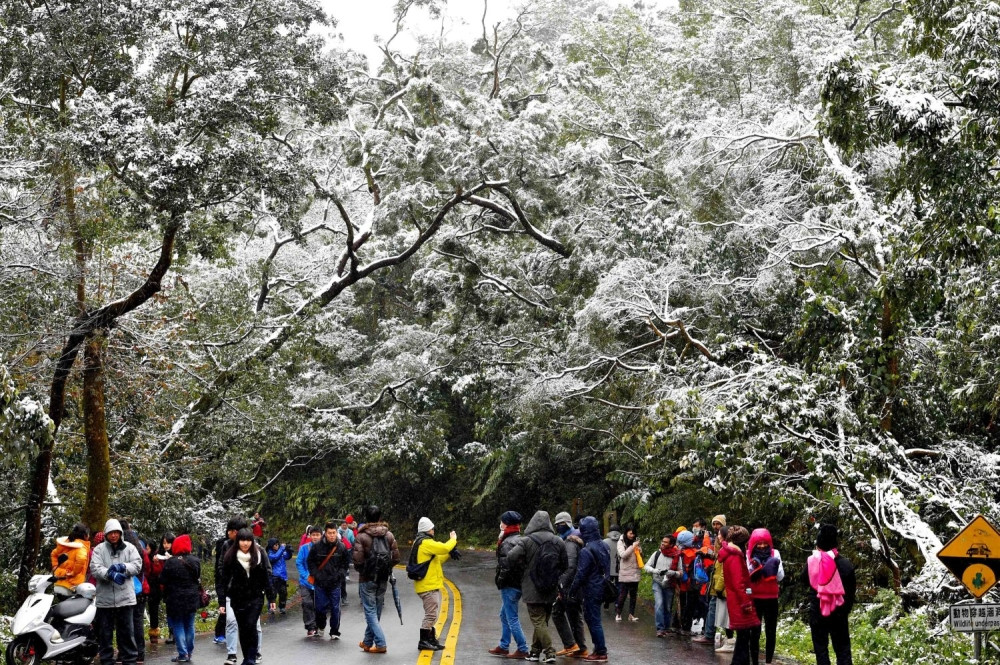 Čak 85 ljudi umrlo na plus četiri stepena!