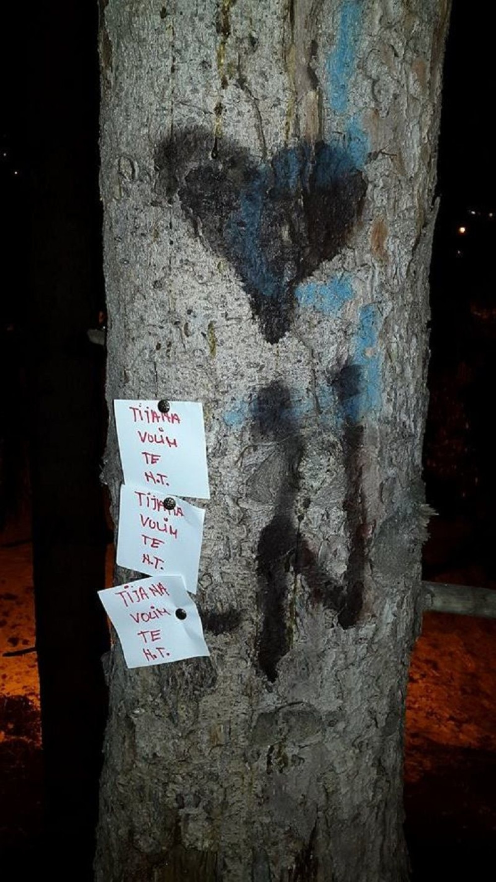 Celom gradu pokazao da voli svoju Tijanu! (FOTO)