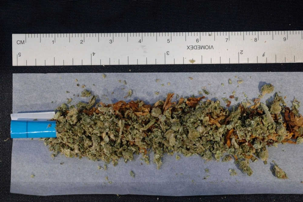 Uhapšen poizvođač i diler skanka