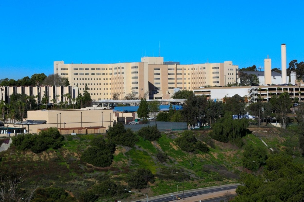 "Ili bežite ili se borite!" (VIDEO)