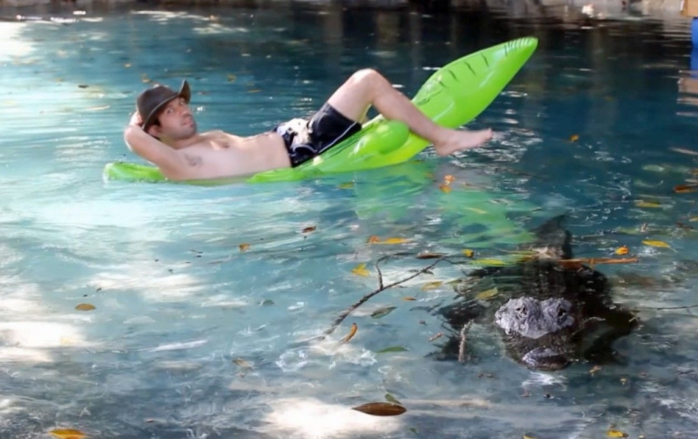 Pliva sa aligatorima! (FOTO)