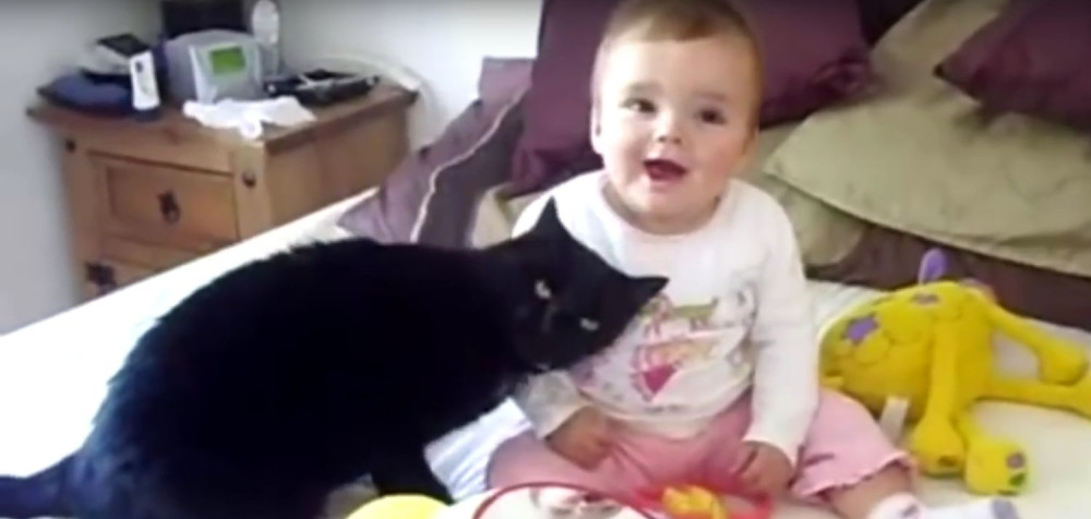 Pogledajte ove mace u ulozi dadilja (VIDEO)