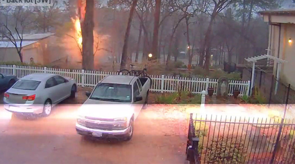 Munja spržila drvo u školi (VIDEO)