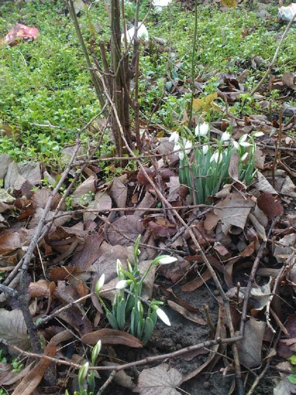 Od 9. februara stiže nam ledeni talas! (VIDEO)