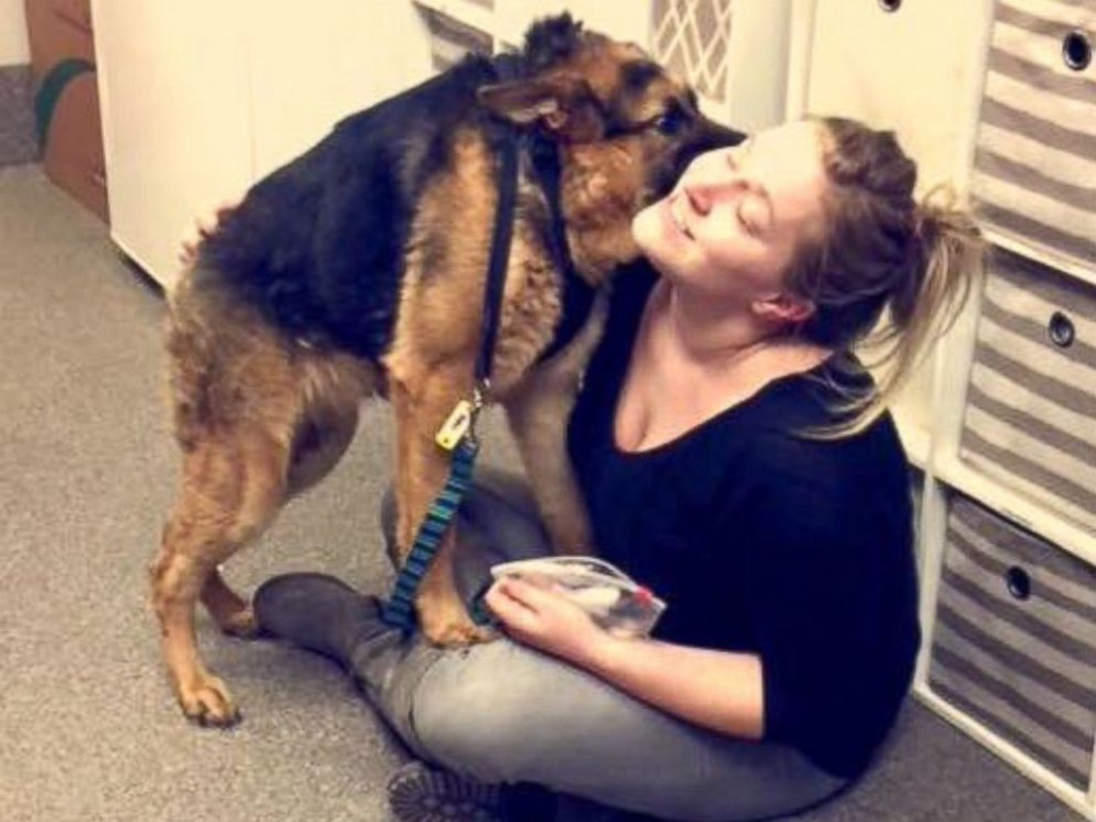 Ovog Kvazimoda svi vole! (VIDEO)