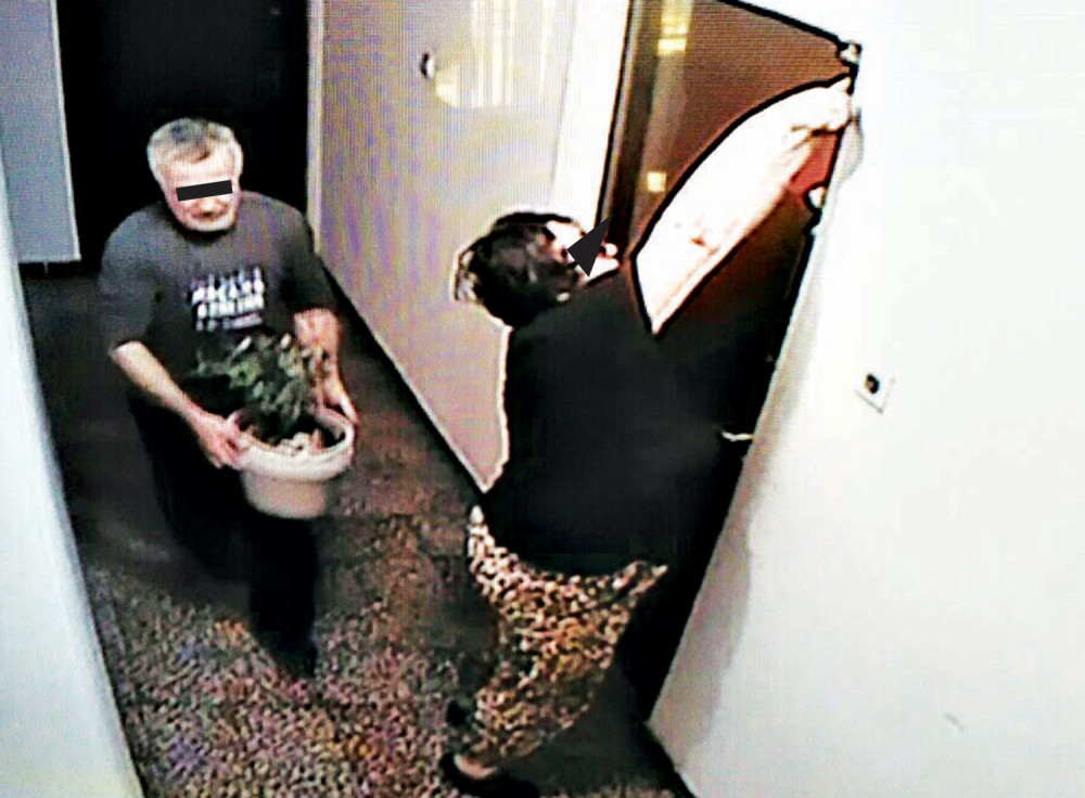 Direktorka kancelarije za ljudska prava na meti lopova!